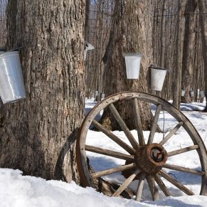 Une cabane à sucre sans remords, est-ce possible pour un diabétique?