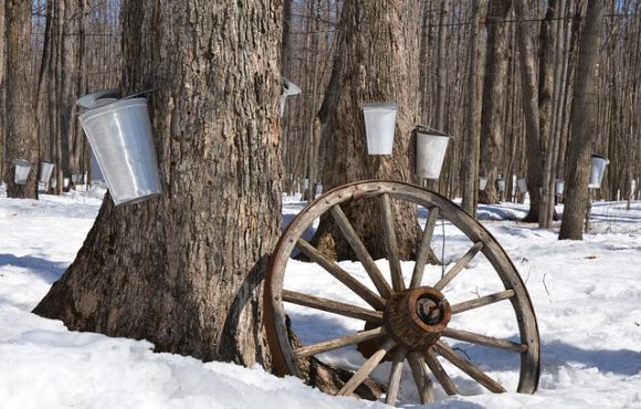 Une cabane à sucre sans remords, est-ce possible pour un diabétique?