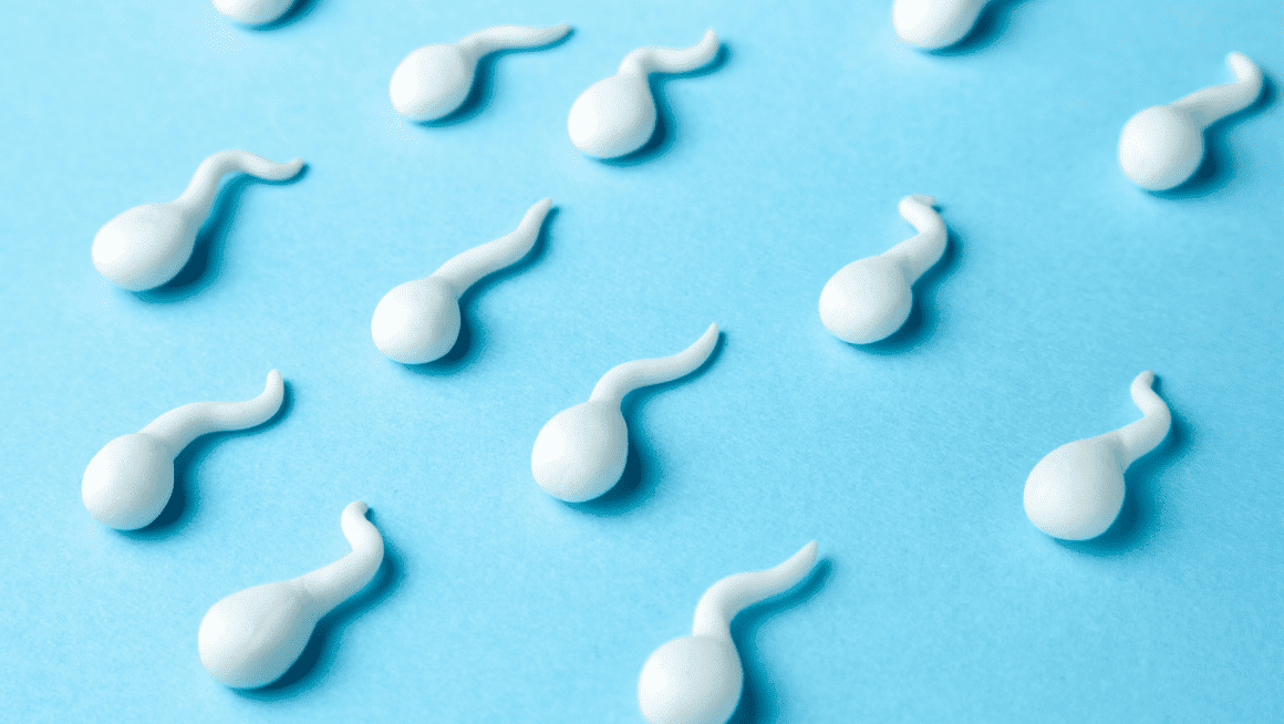Alimentation et qualité du sperme