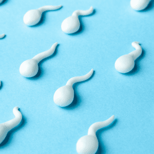 Comment améliorer la qualité des spermatozoïdes?