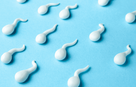 Alimentation et qualité du sperme