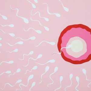Perturbateurs endocriniens et fertilité