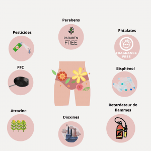 les perturbateurs endocriniens 