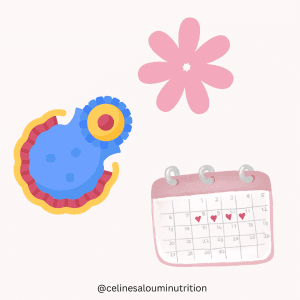 Facteurs qui affectent l’ovulation