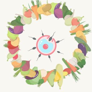 Bien se préparer à une FIV: mode de vie et alimentation